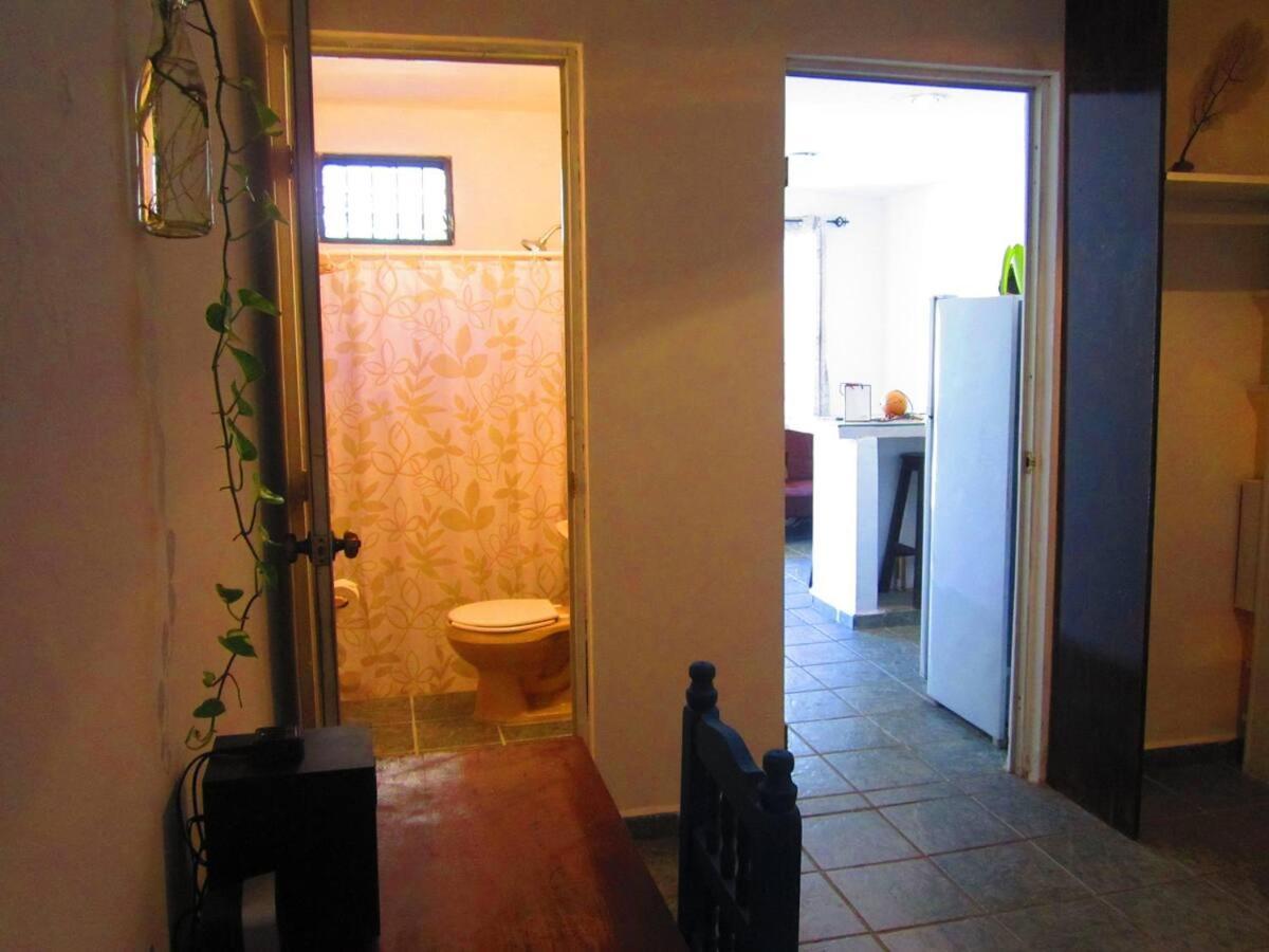 プレヤデルカーメンCasa De Hojasアパートメント エクステリア 写真