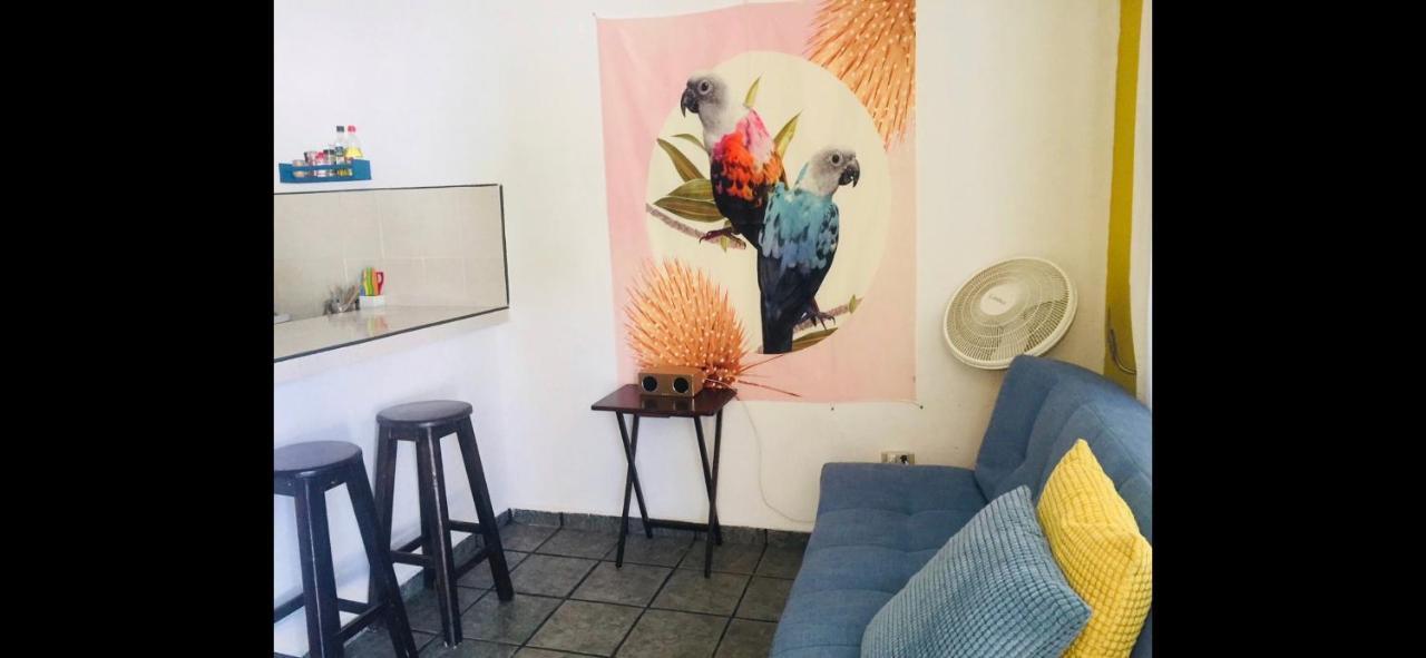 プレヤデルカーメンCasa De Hojasアパートメント エクステリア 写真